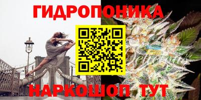 кокс Чапаевск