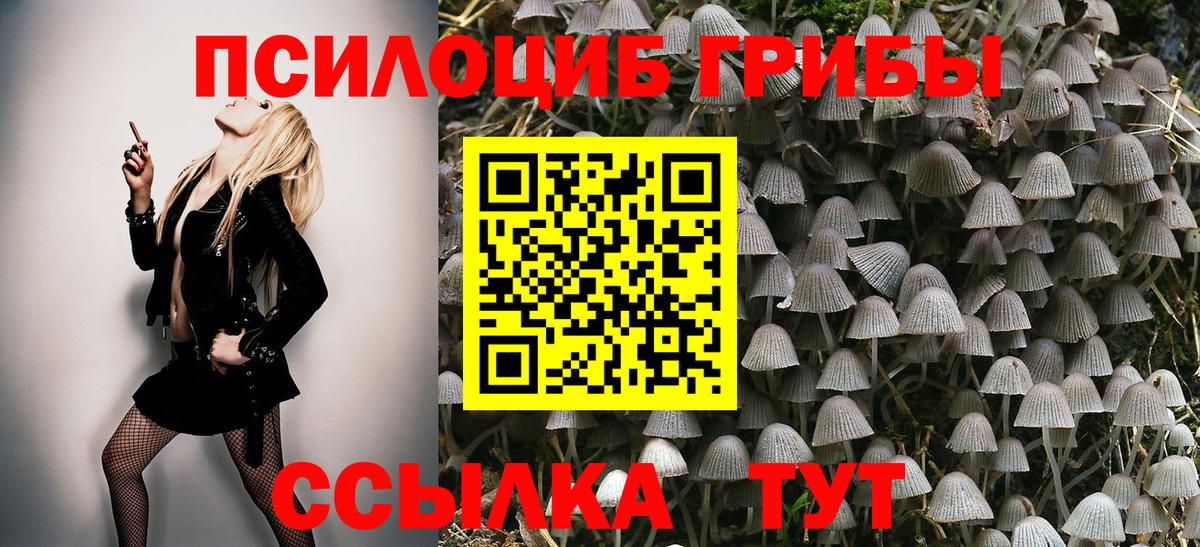 Белгород  Галлюциногенные грибы Psilocybe  Вход с VPN 